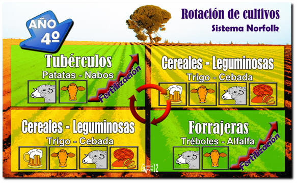 Rotacion 4