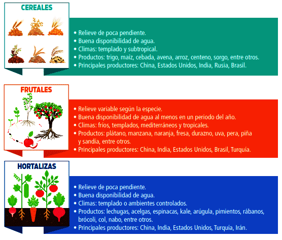 Patrones agricultura