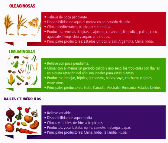 Patrones agricultura