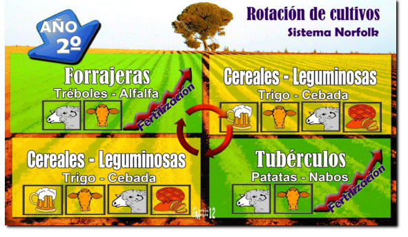 Rotacion 2